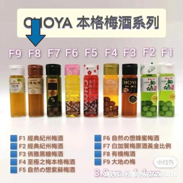 CHOYA 有機梅酒 F8 微縮作品