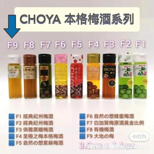 CHOYA 大地之梅梅酒 F9 微縮作品