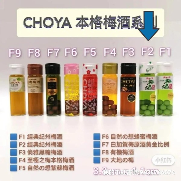 CHOYA 本格梅酒 (原味) 蓋包裝版本 F2 微縮作品