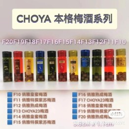 CHOYA 本格梅酒 (原味) F10-F20 微縮作品