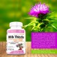 加拿大代購免費直送 護肝乳薊草精華+蝦紅素 Milk Thistle+Astaxanthin  1瓶x60粒