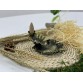 B2112026  綠銅荷塘青蛙倒流香座 Backflow Incense Holder, Frog in the Water Lily Pond