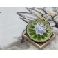 B2112022F 葵型綠色蓮花香托 Ceramic Stick Incense Burner Holder, Lotus, Green Plate