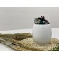 T2112038A 圓型布蓋茶罐 白-素面 Tea Ceramic Canister, White