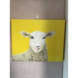 羊☺️-8吋乘10吋油畫連木框勾