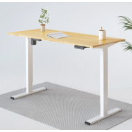 KT-119 Advance 4 memories 2 Stages Motors Electronic Adjustable Desk 單摩打兩節式電動升降桌